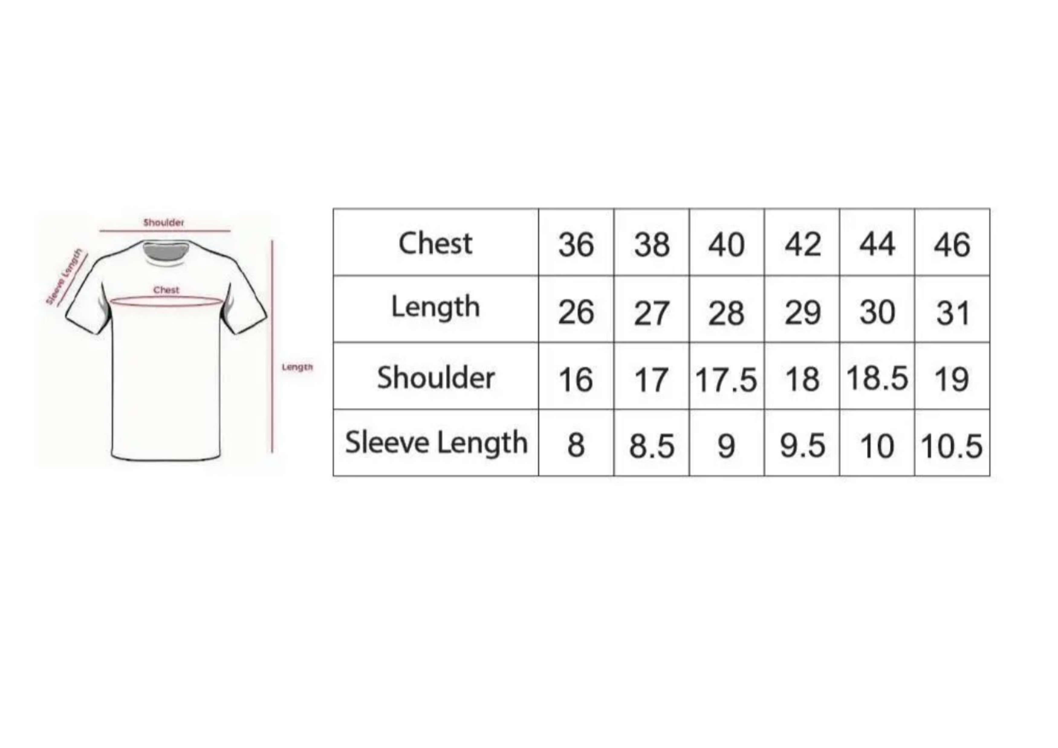 Cotton Regular Fit Tee